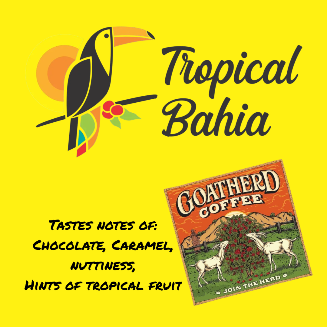 Brazil Tropical Bahia