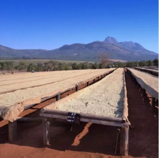 Malawi AB Sable Farm RFA